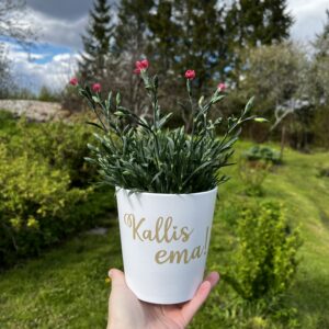 sõnumiga lillepott ''kallis vanaema...''