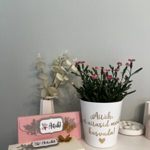 sõnumiga lillepott ''kallis vanaema...''