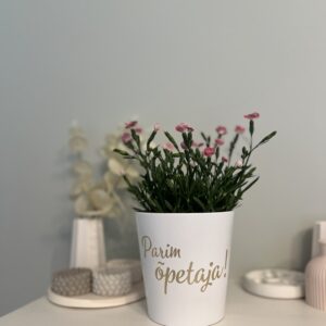 sõnumiga lillepott ''kallis vanaema...''