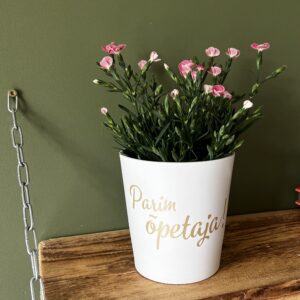 Sõnumiga lillepotid