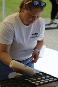 Vilelli lugu